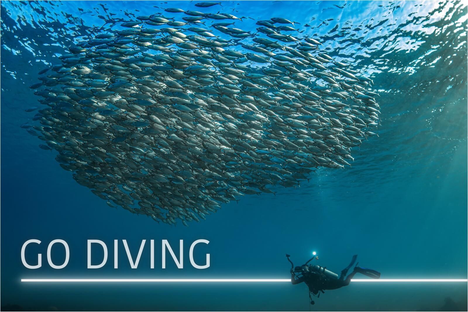 Go Diving Explore in Cristal clear water