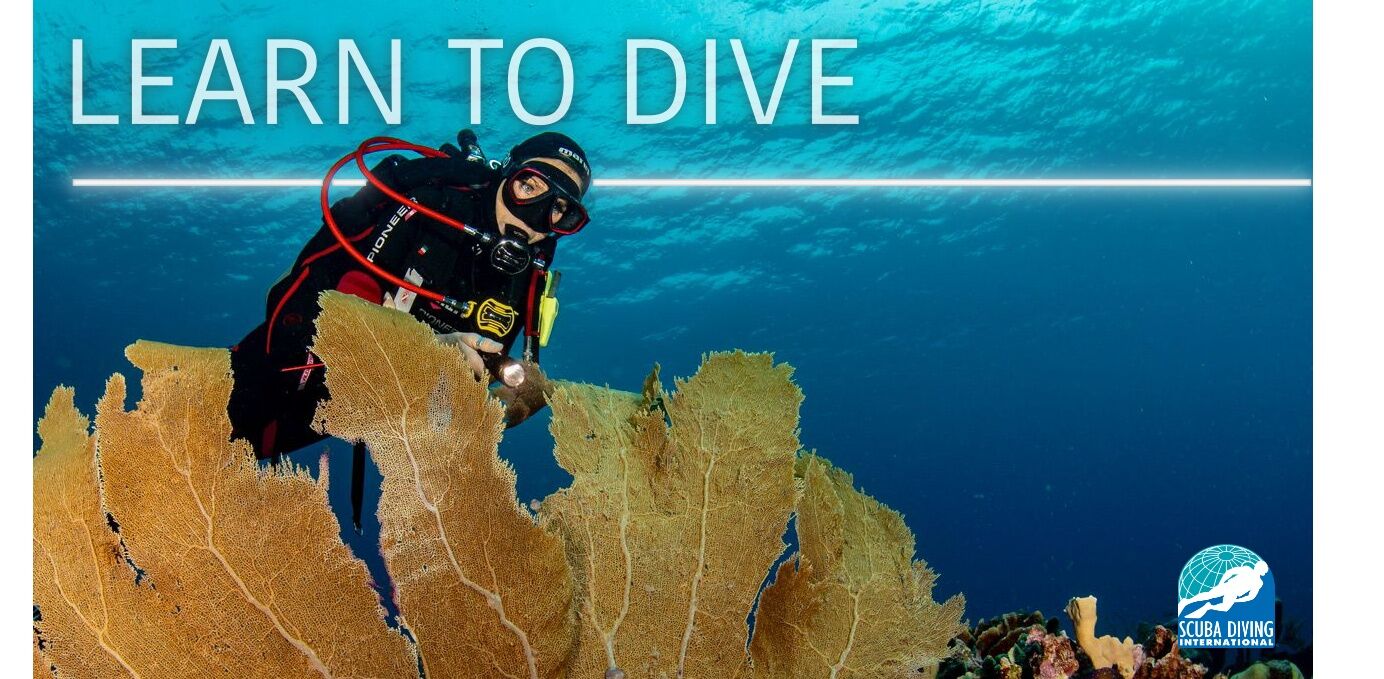 Learn to dive Book your course with us